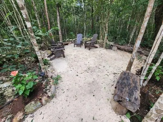Villa Casa & Palapa De La Selva Playa del Carmen